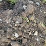 Free topsoil Image 2