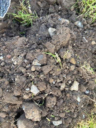 Free topsoil