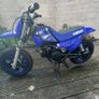 Yamaha pw50 2025 Image 2