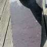 Blue Bangor Slates Image 2