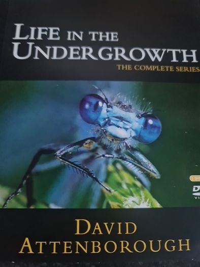 Life in the Undergrowth DVD