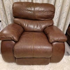 Ez Living Leather Recliner
