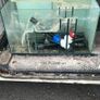 Fish tank Image 3
