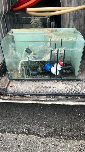 Fish tank