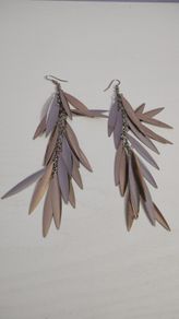 Beautiful Earrings