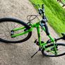 62 Frog Bike Image 3