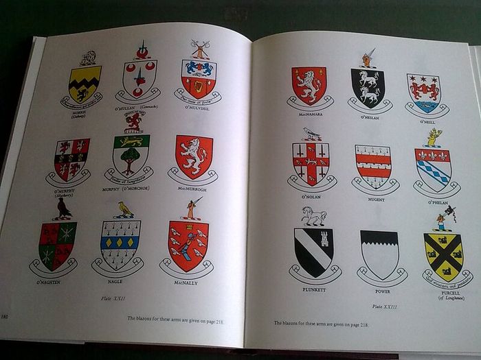 Irish Families Their names arms & origins Ireland Genealogy History