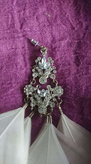 Earrings/ jewellery