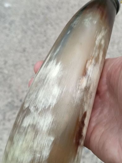 12 Inch Australian Bull Horn Bottle Opener