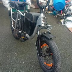 rad power bike