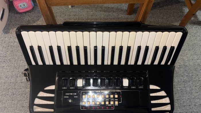 accordion excelsior