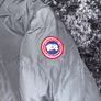canada goose Image 2