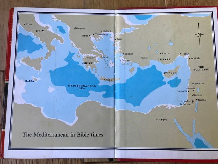 The Ladybird New Testament