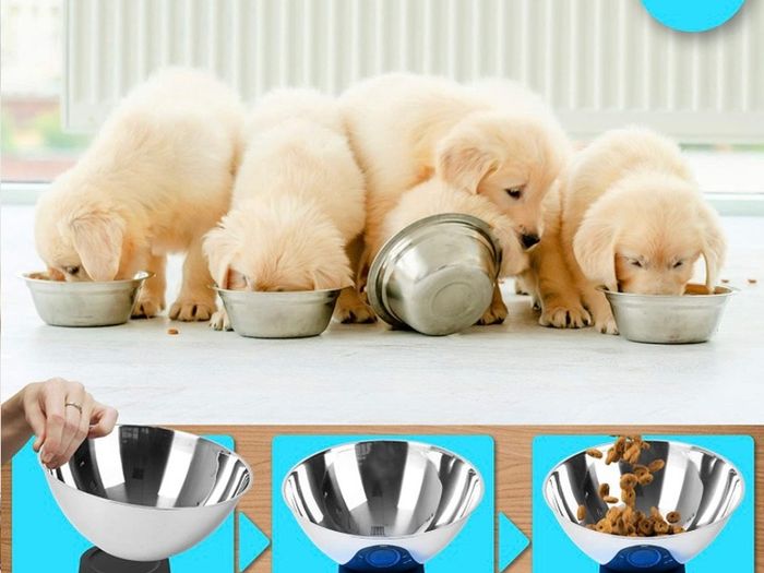 Kitchen Scales with Bowl for Baking KS5000 Digital Postal Parcel Weighing Scale 5KG Capacity Tare 1g Precision Stainless Steel 2L Bowl (FREE POSTAGE)