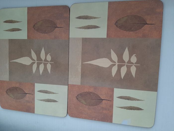 4 new place mats in wrapping