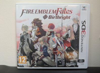 Fire Emblem Fates: Birthright (3DS)
