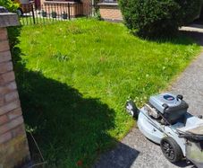 grass cutting etc
