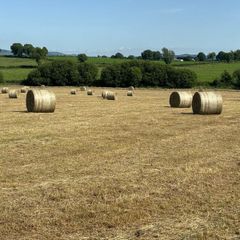 Hay Bales