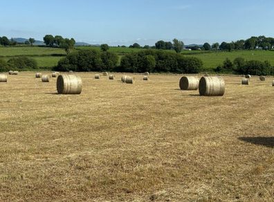 Hay Bales