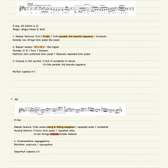 Leaving cert H1 Music notes Set B