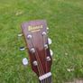 Ibanez PF10 Acoustic Guitar Image 4