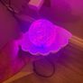Clam glitter pearl led colour changing lamp Image 5