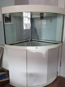 fish tank