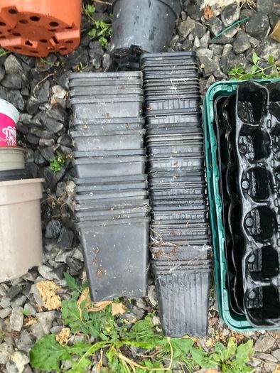 plant pots