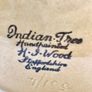 indian tree staffordshire england Image 4