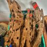 Dragon Wood Image 6
