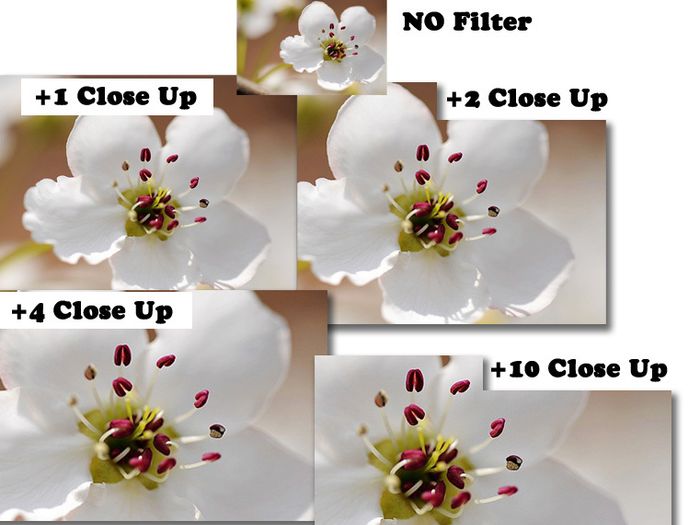 58mm Macro Close Up Lens Set