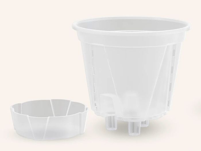 Clear Self-Watering Plant Pots