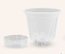 Clear Self-Watering Plant Pots