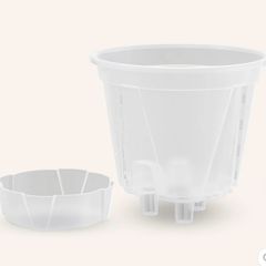 Clear Self-Watering Plant Pots