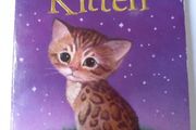 The Kidnapped Kitten by Holly Webb