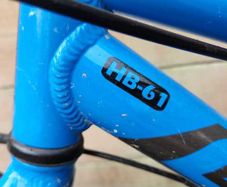 Giant ARX 20 Kids Bike