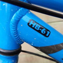 Giant ARX 20 Kids Bike