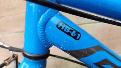 Giant ARX 20 Kids Bike
