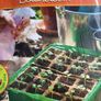 Propagator Image 2
