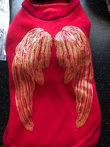 Fab Angel wings sweatshirt