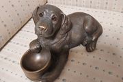 Genesis Labrador Pup