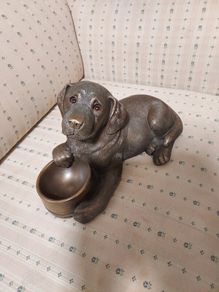 Genesis Labrador Pup