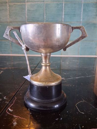 RHSI National Chrysanthemum Show 1966 Trophy