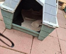 medium dog box, outdoor