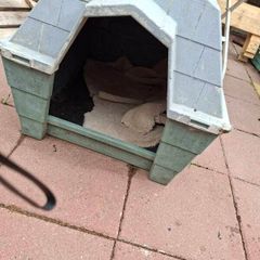 medium dog box, outdoor