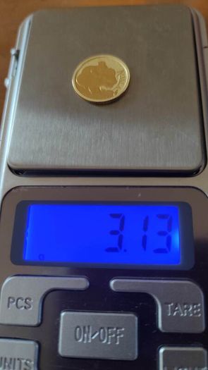 Gold coin koala