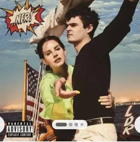 WANTED lana del rey vinyls
