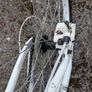 Apollo Evade Mountain Bike - 24in Wheels Image 4