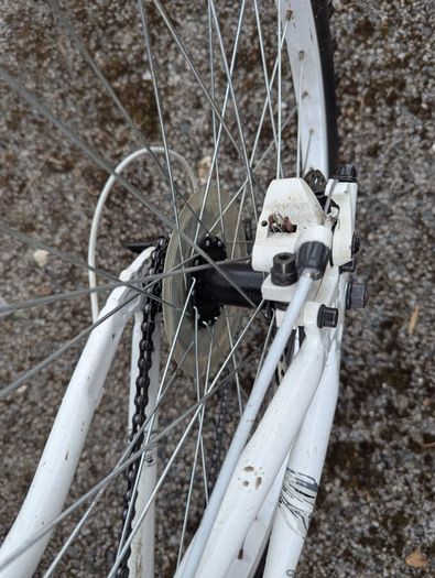 Apollo Evade Mountain Bike - 24in Wheels