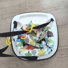 Baby bouncer